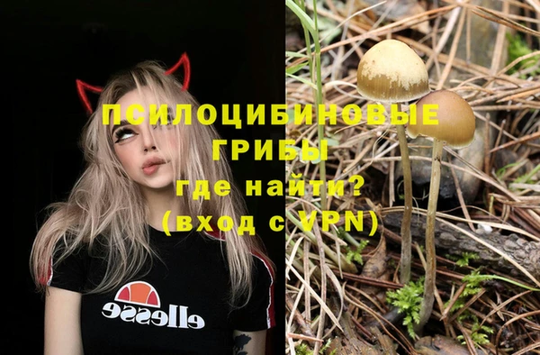 круглые Алексин