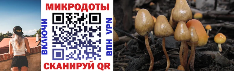 Псилоцибиновые грибы прущие грибы  купить   Черноголовка 
