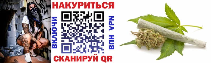 Бошки марихуана SATIVA & INDICA  маркетплейс клад  Черноголовка 